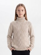 953 св.беж Cropped